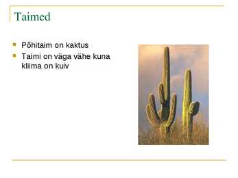Kõrb #6