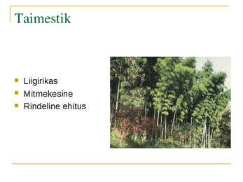 Mussoonmetsad #5