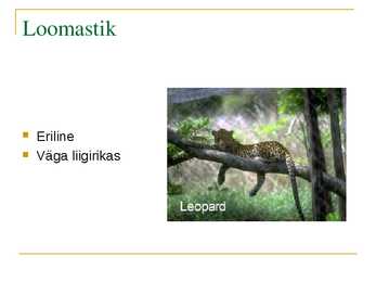 Mussoonmetsad #7