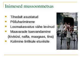 Mussoonmetsad #9