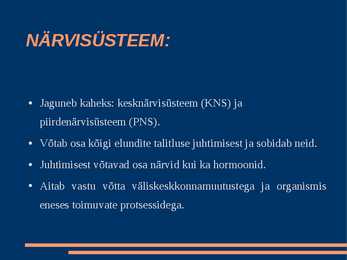 Närvisüsteem #2