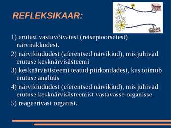 Närvisüsteem #14