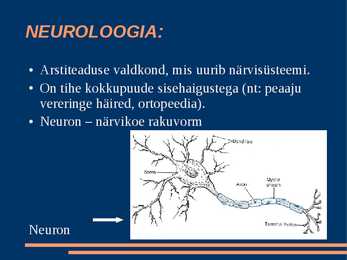Närvisüsteem #19