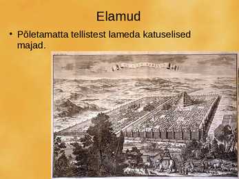 Babüloni Linn #5
