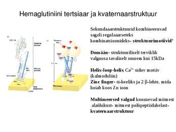 Valgu struktuur #18