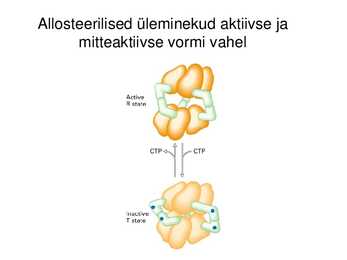 Valgu struktuur #46
