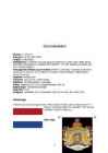 Holland-referaat #4