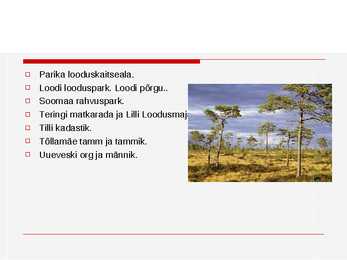 Minu kodukoha turism #23