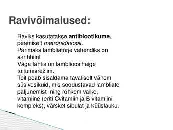 Lamblioos #6