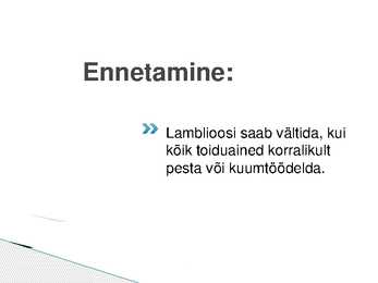 Lamblioos #8