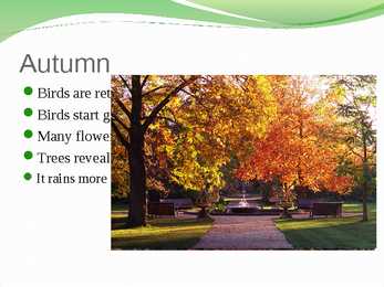 English nature #5
