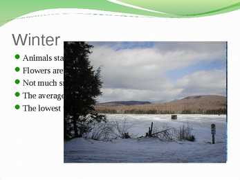 English nature #6