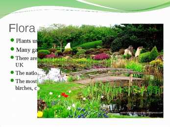 English nature #7