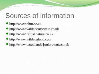 English nature #10