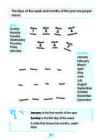 English Grammar Book 1 #17