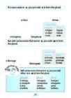 English Grammar Book 1 #29