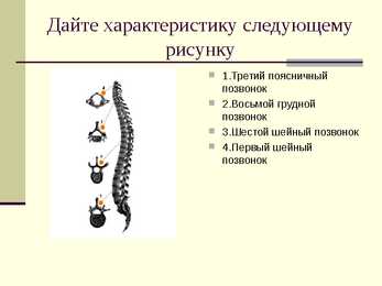 Inimese luustik-vene keeles #16