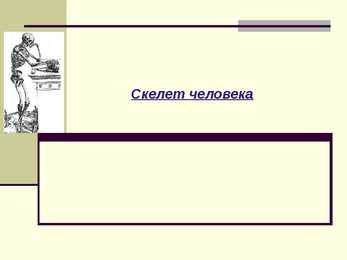 Inimese luustik-vene keeles