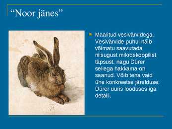 Albercht Dürer #11