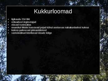 Kukkurloomad #2