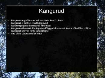 Kukkurloomad #5