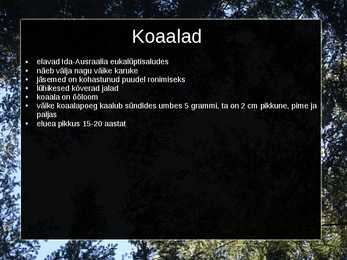 Kukkurloomad #8