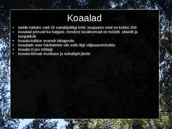 Kukkurloomad #9