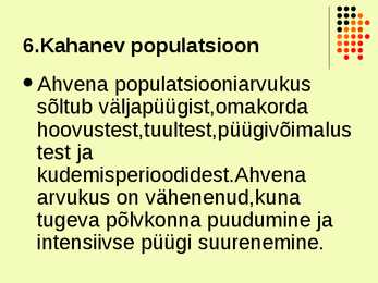 Ahven ehk harilik ahven #6