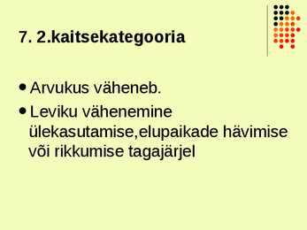 Ahven ehk harilik ahven #7