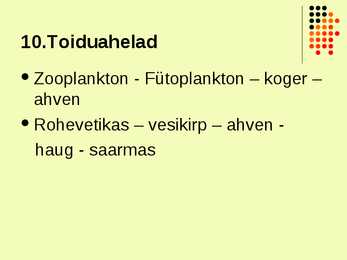 Ahven ehk harilik ahven #10