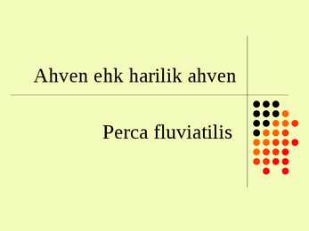 Ahven ehk harilik ahven