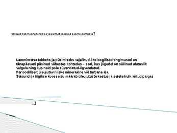 Lammimetsade esitlus #12