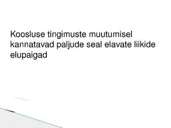 Lammimetsade esitlus #13