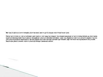 Lammimetsade esitlus #14