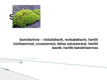 Lammimetsade esitlus #5