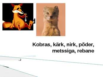 Lammimetsade esitlus #6
