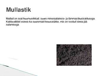 Lammimetsade esitlus #8