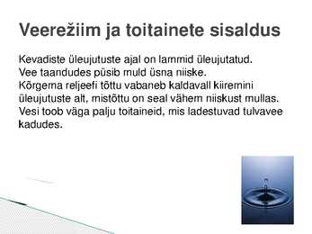 Lammimetsade esitlus #9