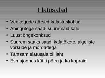 Kiviaeg #13
