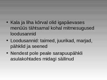 Kiviaeg #17