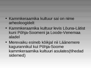 Kiviaeg #24