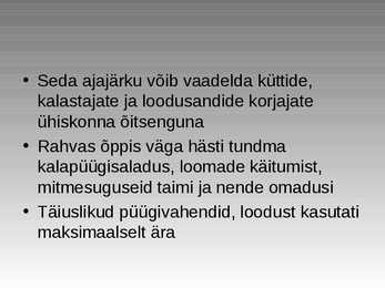 Kiviaeg #29