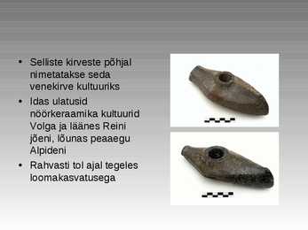 Kiviaeg #31