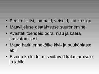 Kiviaeg #32