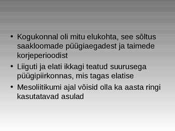 Kiviaeg #8