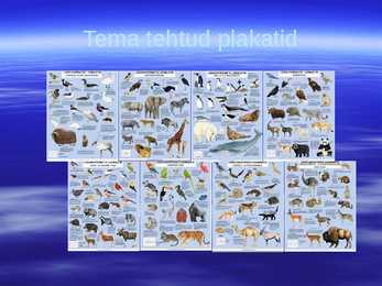 Eesti kunstnikud #4