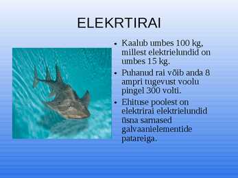Elekter elusolendites #6