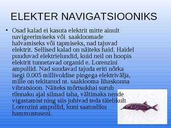 Elekter elusolendites #9