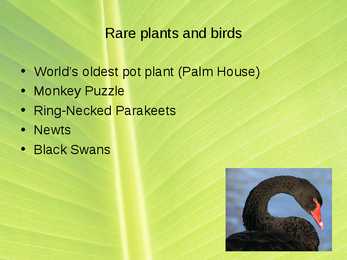 Kew Gardens #11