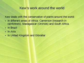 Kew Gardens #15